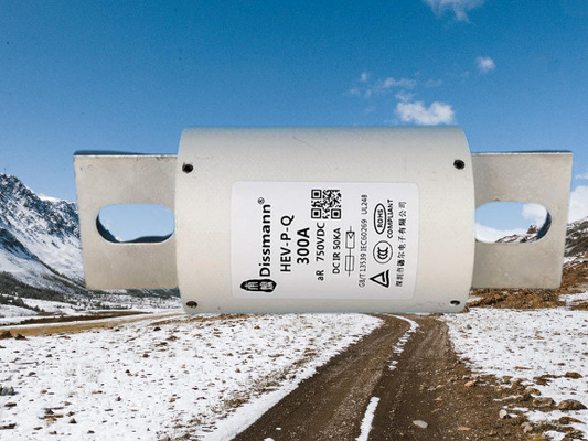 Ładowarka EV 5A-800A Bezpiecznik kasety ceramicznej Proffessional AC / DC1000V