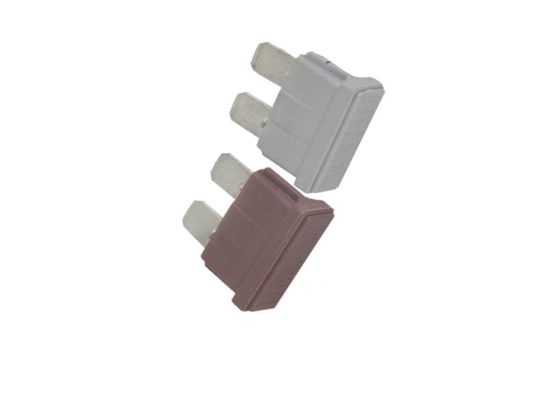 Oświetlony samochodowy 1 A szybko działający bezpiecznik Materiał PBT Płaski kształt