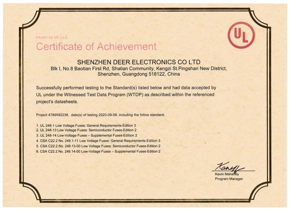 Chiny Dissmann | Global Expert Fuse for EV | HEV | Photovoltaic | Battery | Energy Storage Solutions Certyfikaty